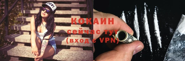 прущие грибы Майский
