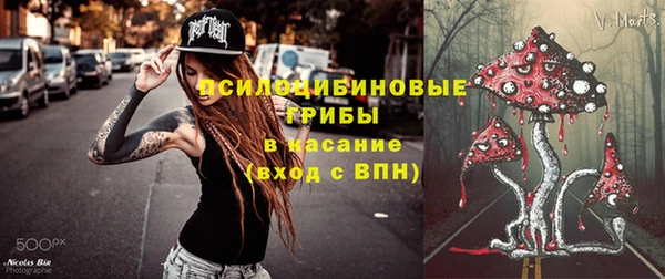 прущие грибы Майский