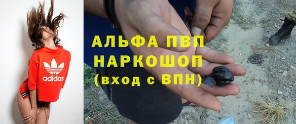 ECSTASY Медногорск